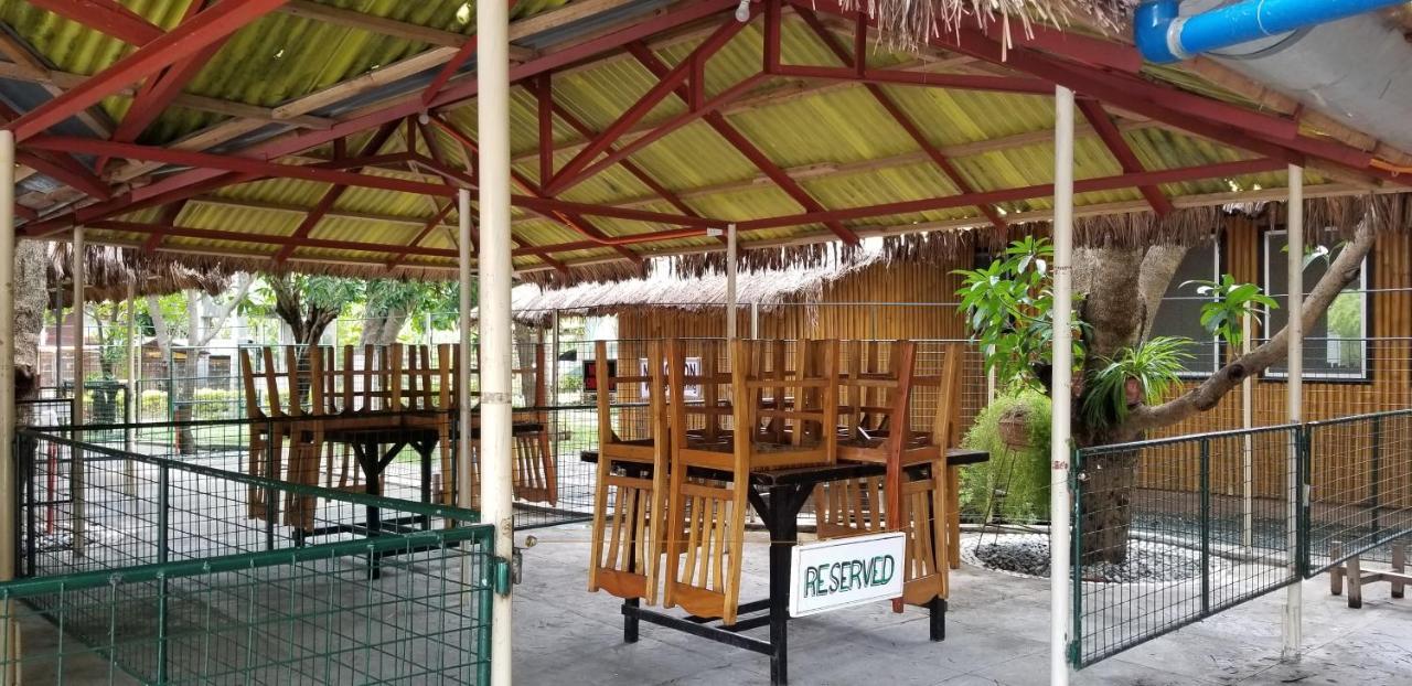 Buenavista Family Inn Tagudin Exterior foto